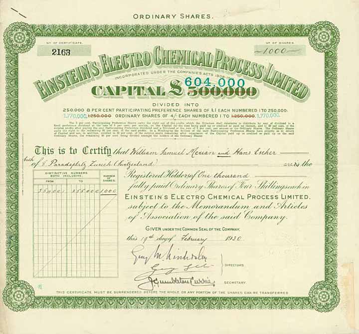 Einstein's Electro Chemical Process Ltd.