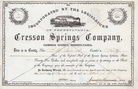 Cresson Springs Co.