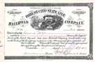 Forest City & State Line Railroad
