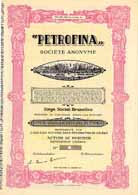 PETROFINA S.A.