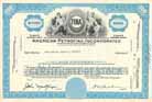 American Petrofina, Inc.
