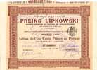 Soc. Gen. des Freins Lipkowski S.A.