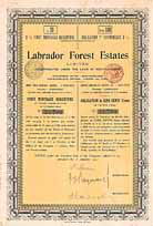 Labrador Forest Estates Limited