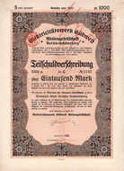 Elektricittswerk Sdwest AG