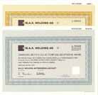 M.A.X. Holding AG (2 Stcke)