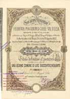 S.A. per la Ferrovia Poggibonsi-Colle Val dElsa