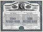 Ferrocarriles Nacionales de Mexico (National Railways of Mexico)