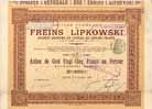 Soc. Gen. des Freins Lipkowski S.A.