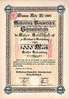 Mecklenburg-Pommersche Schmalspurbahn-AG